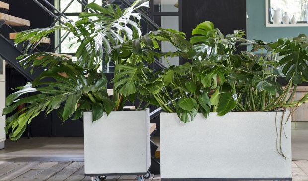 Styling Elize Eveleens - Klimprodukties