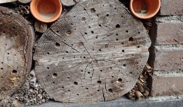 In de heemtuin zijn diverse insectenhotels te zien.