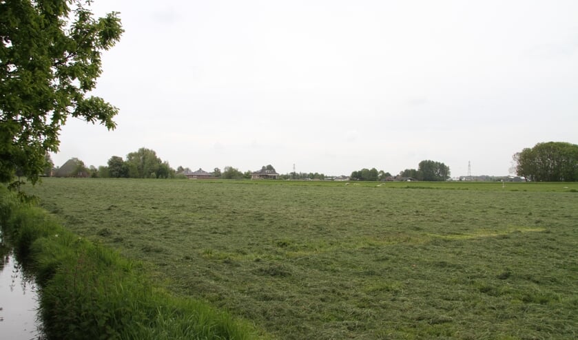 Het gebied Geestwater ziet er over enkele jaren heel anders uit, als de woningbouwplannen doorgaan.
