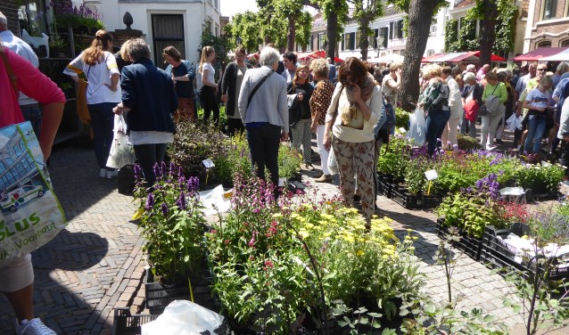 De Markt onder de linden werd vanwege de storm alleen op zondag gehouden. | Foto en tekst: Ina Verblaauw