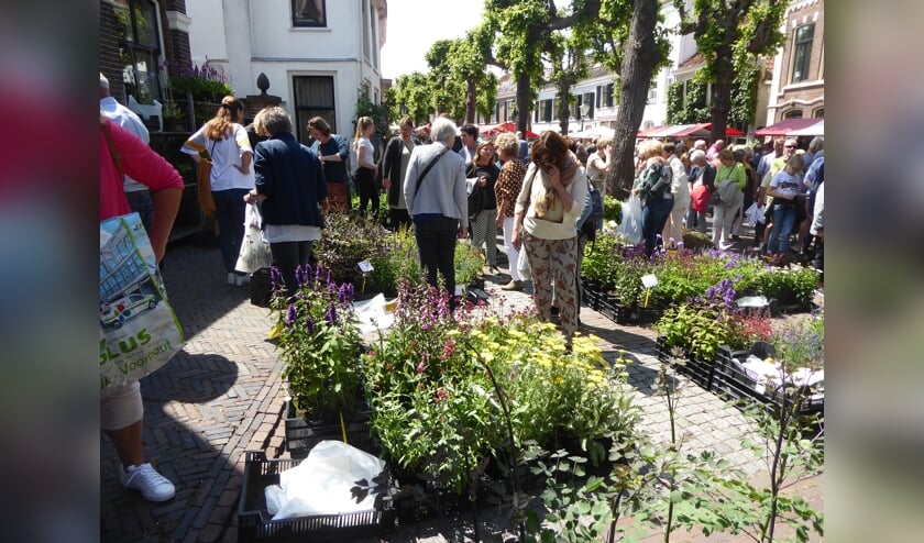 De Markt onder de linden werd vanwege de storm alleen op zondag gehouden. | Foto en tekst: Ina Verblaauw