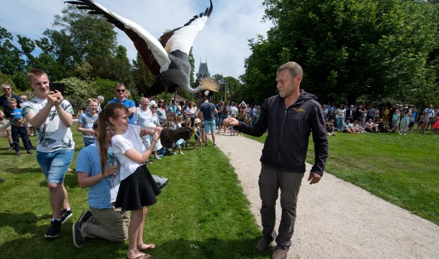 Laat de indrukwekkende vogels landen op je hand en bekijk ze van dichtbij. | Foto: pr.
