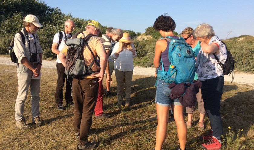 Tijdens de wandeling vertellen gidsen u alles over wat er groeit en bloeit in de duinen.