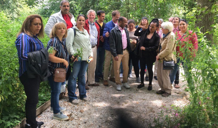 De gemeente heeft in 1980 de tuin overgenomen en zo veel mogelijk de natuur zijn gang laten gaan. | Foto: pr