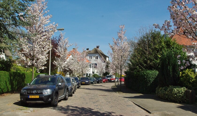 Grotere woningen zijn in Oegstgeest het meest gewild. | Archieffoto Willemien Timmers