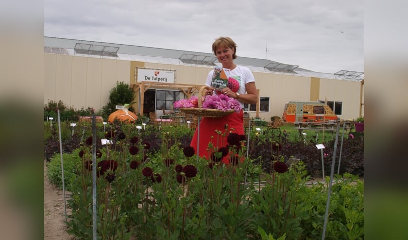 Anja Jansze met dahlia's op de siertuin. | Foto: Piet de Boer