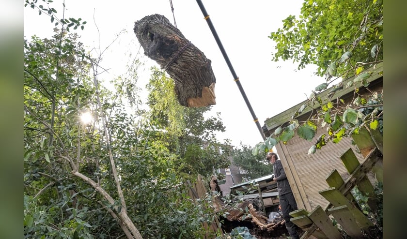 Bos hout voor de deur geruimd