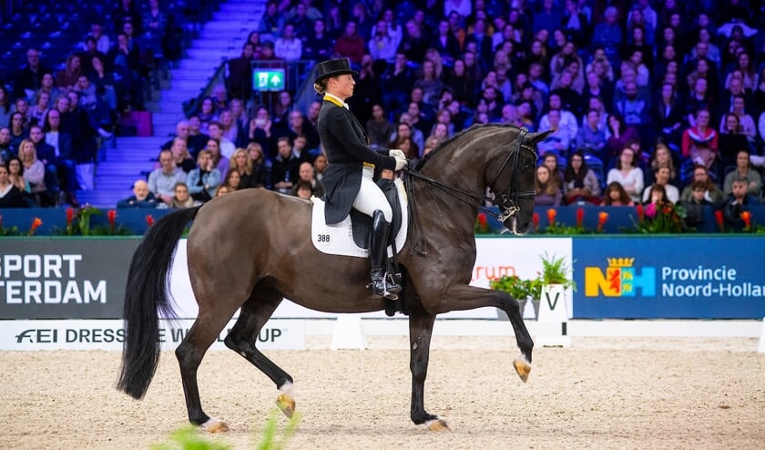 Jumping Amsterdam I Wereldbekerkwalificatie voor Werth ...