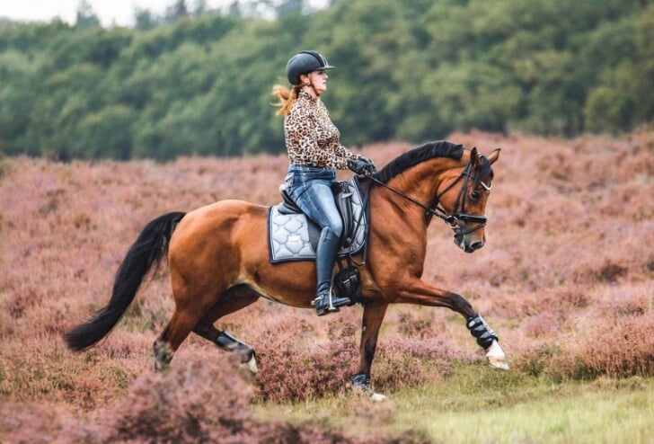 Anouk Elsackers start met haar “Het voelt onwerkelijk” | Het onafhankelijke paarden(sport)medium