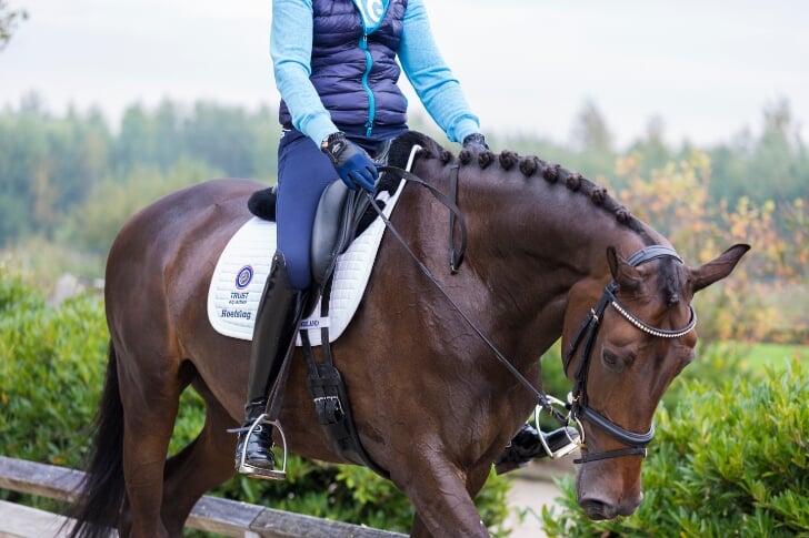 Rugproblemen: “Er Zijn Ook Bikkels Die Door Rugpijn Heen Lopen” | Het  Onafhankelijke Paarden(Sport)Medium