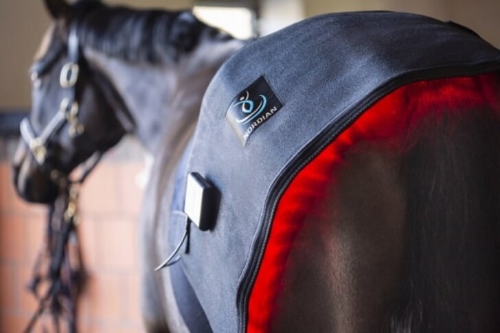Samuel peddelen waterstof Nordian lichttherapie pads voor paarden | Het onafhankelijke paarden (sport)medium