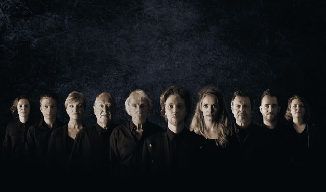 De cast van Hamlet
