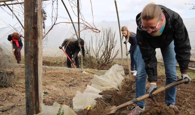 Een impressie van NLdoet in 2018: bij zorgboerderij De Locatie wordt er hard gewerkt. Foto: Jan de Rond