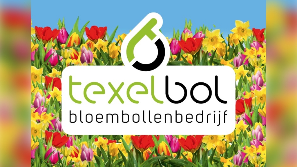 TexelBol Rommelpot 15 Den Hoorn