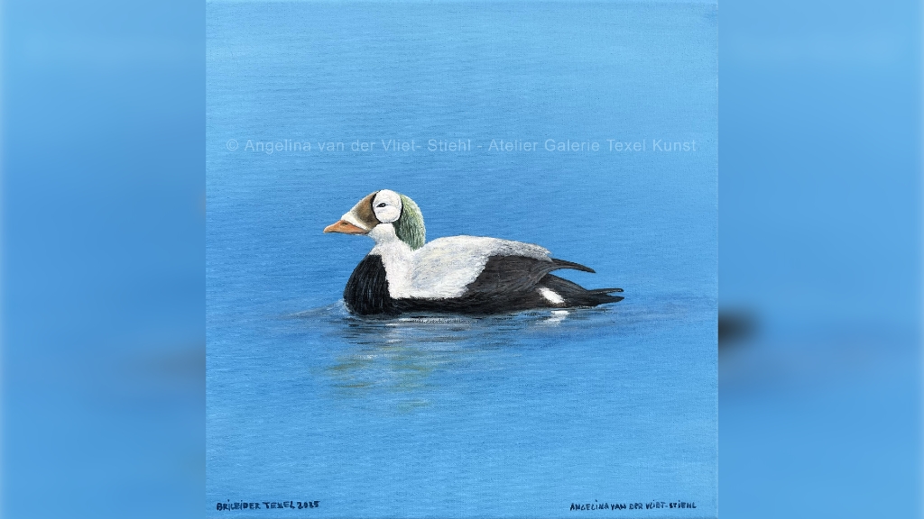 Schilderij Brileider Texel