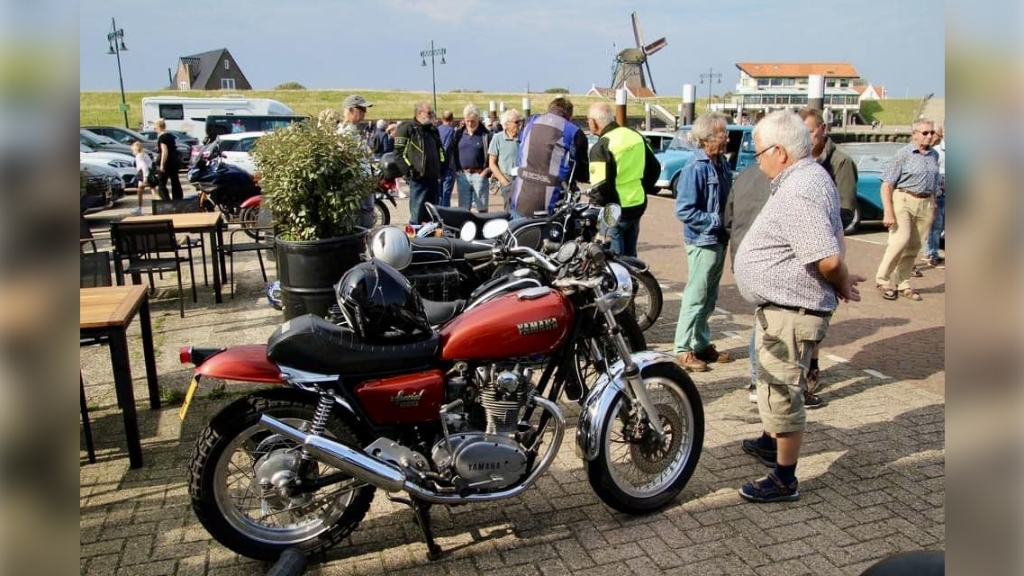 Wat zijn ze mooi hé?