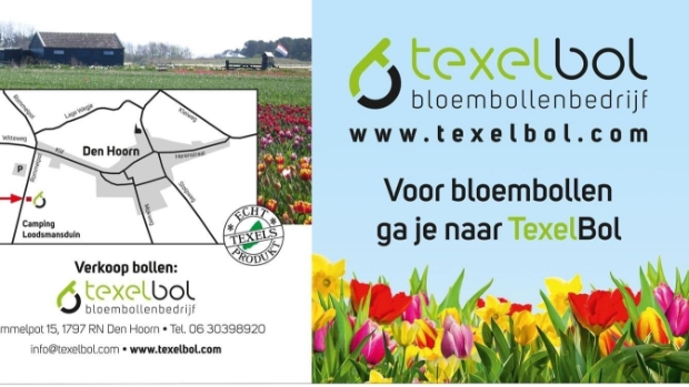locatie TexelBol Den Hoorn