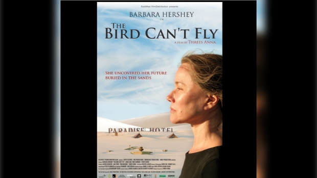 Filmoster van The Bird Can't Fly