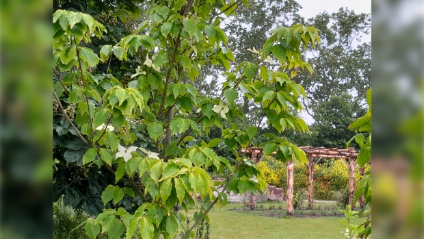 Praktijkdag tuinonderhoud Natuur Goed