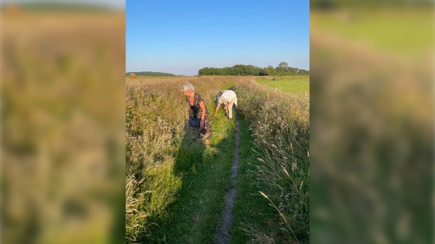 Kijken naar de bloemetjes