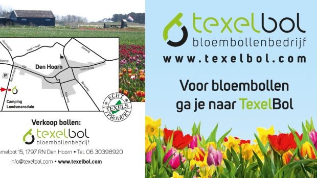 zelf pluk bloementuin TexelBol