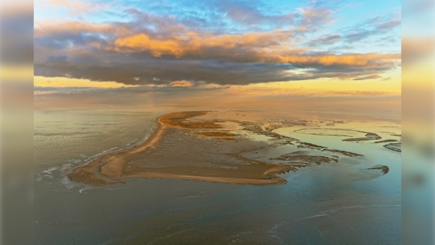 Wadden