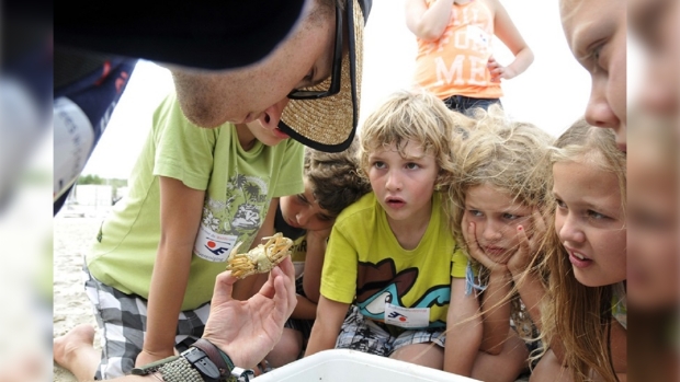 Noordzee Excursie Waddenvereniging