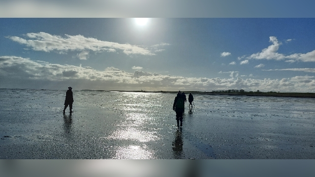 wadwandeling