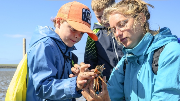 Wadexcursie Waddenvereniging