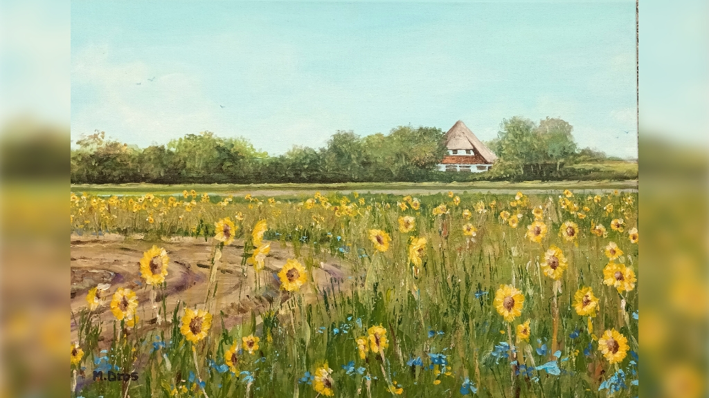 zonnebloemen op Texel