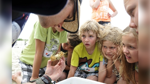 Spannende vondsten tijdens de Noordzee excursie