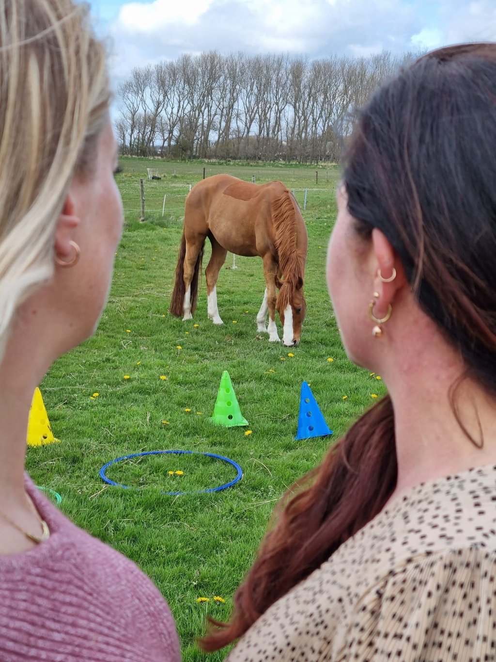 Leren oplossingsgericht communiceren m.b.v. paarden 