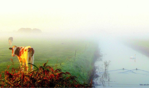 "Wat je mist als je in huis blijft...." door Aris Bremer.