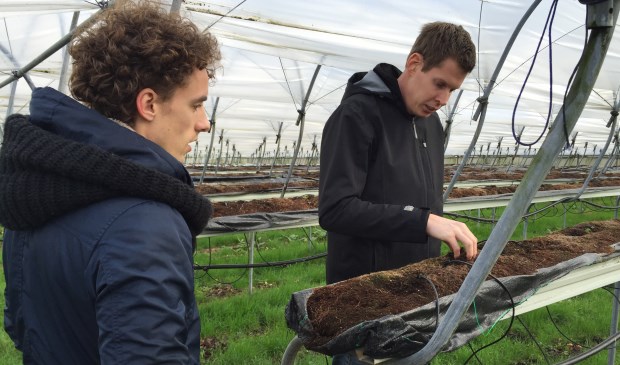 Jacco Boersen van de Zelfpluktuin geeft tekst en uitleg aan een student.