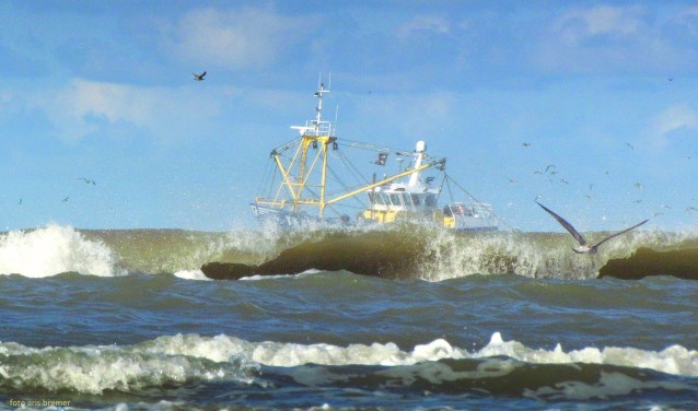 Foto: Aris Bremer