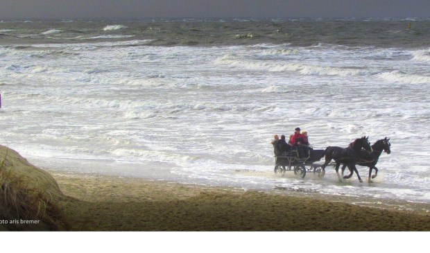 Paard en wagen door het water bij Paal 9.