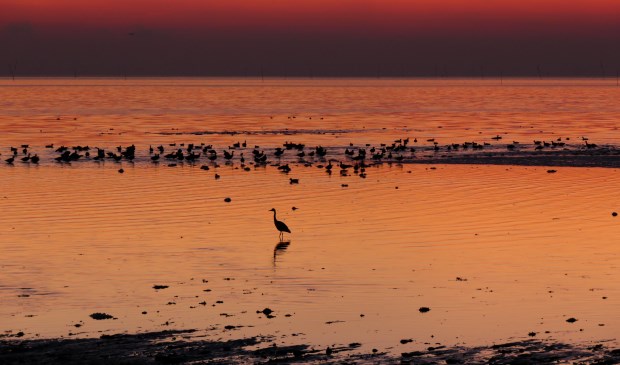 Foto Marina Dijs.