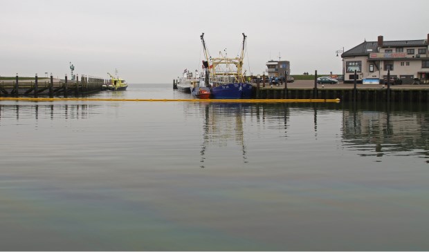 Olieverontreiniging in de haven van Oudeschild.
(Foto Justin Sinner Pictures)