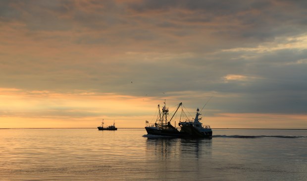 Foto Janet Brouwer