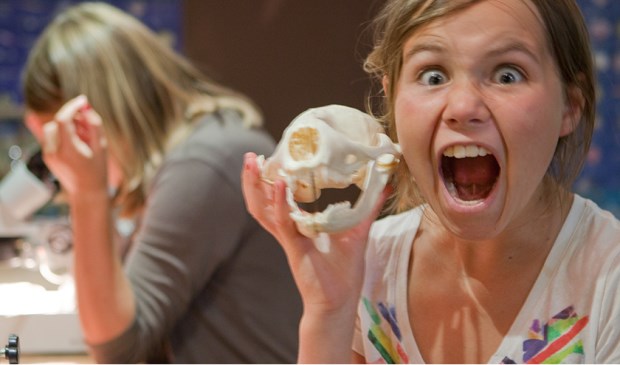 Griezelen bij Ecomare