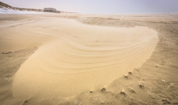 Westelijke Sahara ligt aan de voeten van Faro 2.
