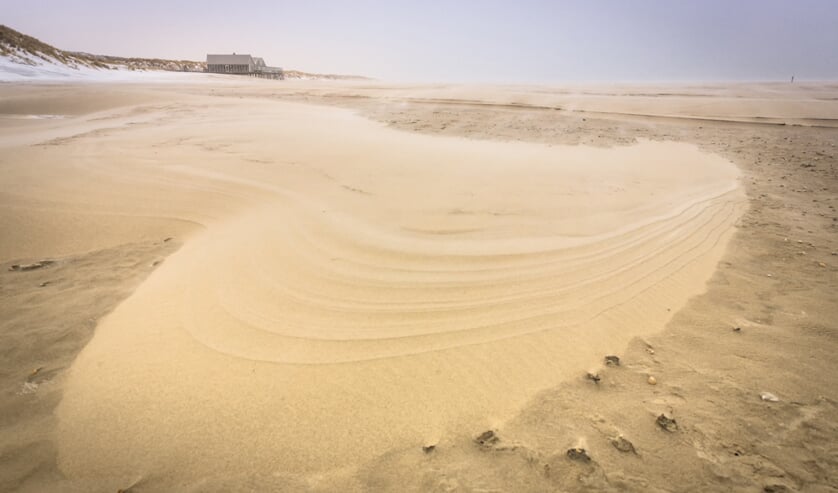 Westelijke Sahara ligt aan de voeten van Faro 2.