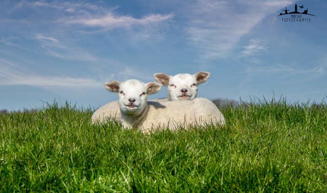 Is dit geen natuur?