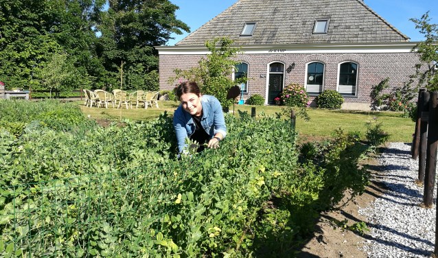 Floor Roeper in de groentetuin.