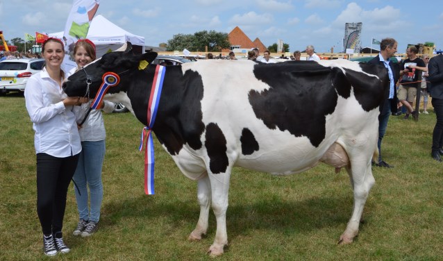 Texel Beauty Amber 2 van fa.Boogaard uit Oosterend werd tot kampioen uitgeroepen.