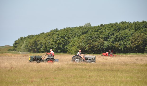 Drie deelnemers aan het werk in het veld.