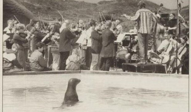 Een zeehond toont belangstelling.