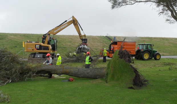 Bomen om in Oudeschild.