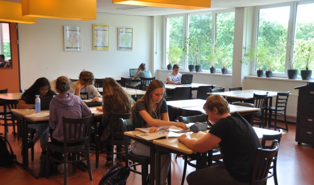 Juni 2017: Leerlingen aan het werk op een van de leerpleinen van de OSG.