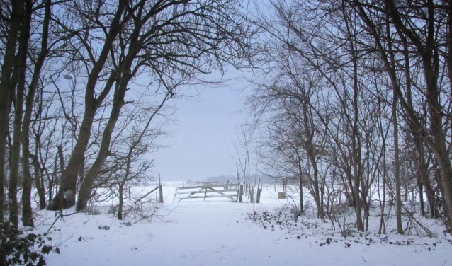 Verhalenvertelster Marjan Boontjes neemt haar gehoor mee naar echte winters met sneeuw.